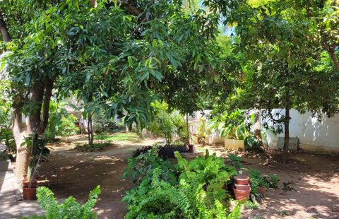 Residential Plot for Sale