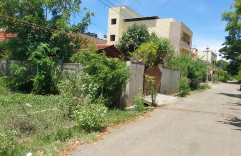 Residential Plot For Sale