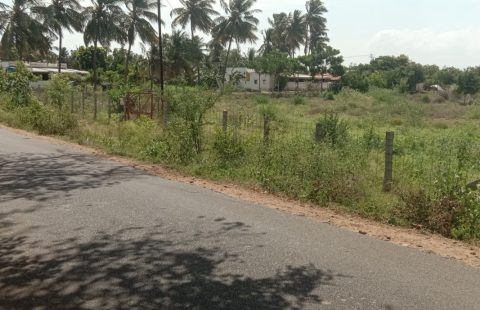 93 Cents Dryland at Near Kanniyur Toll Plaza