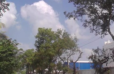 40 Cents On road Site for Sale at Arasur